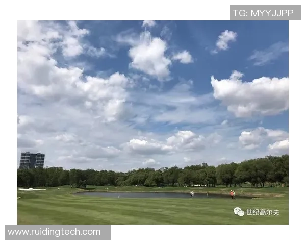 挪威与北爱尔兰激战正酣精彩赛事回顾与分析